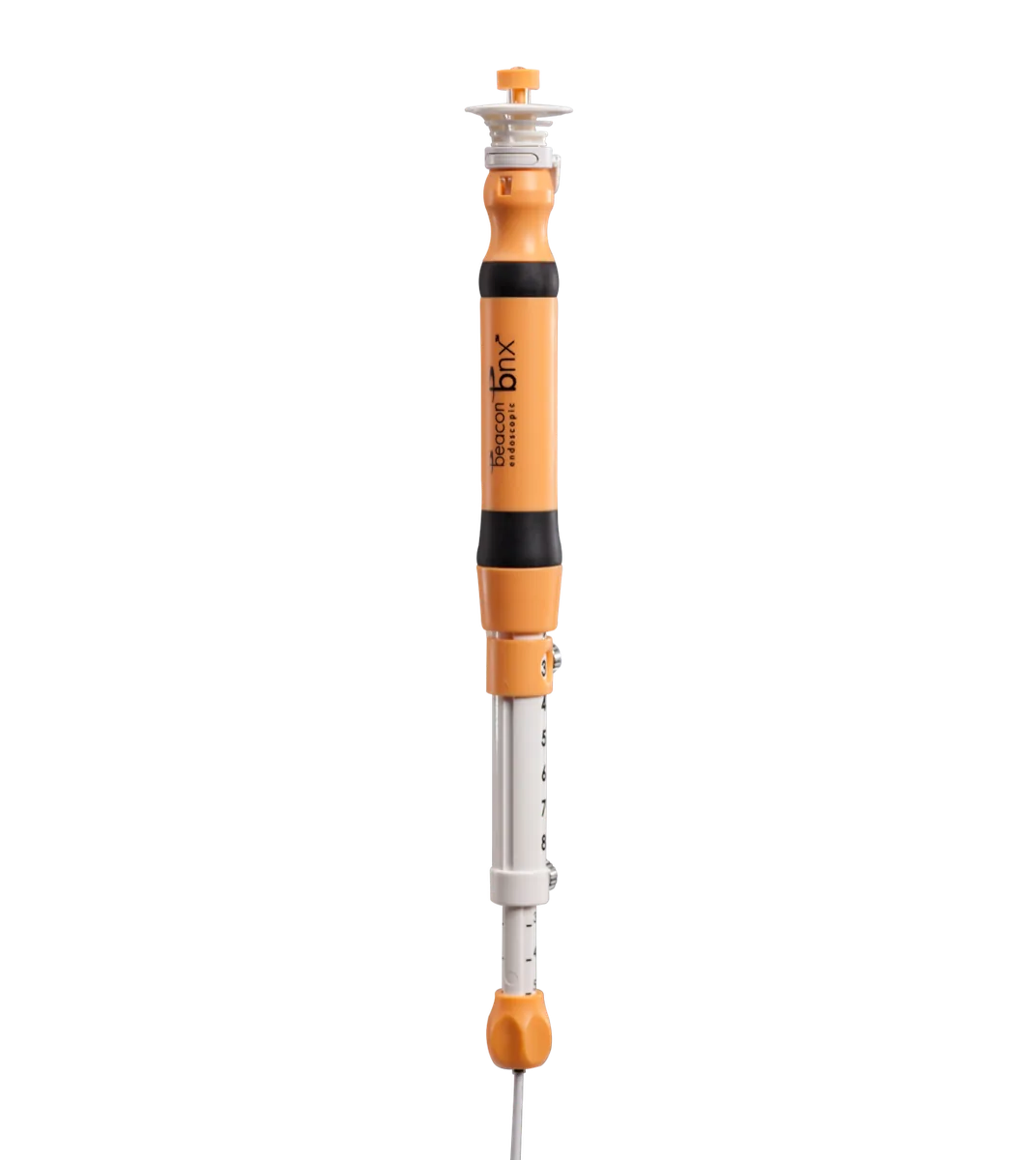 Beacon™ EUS Delivery System